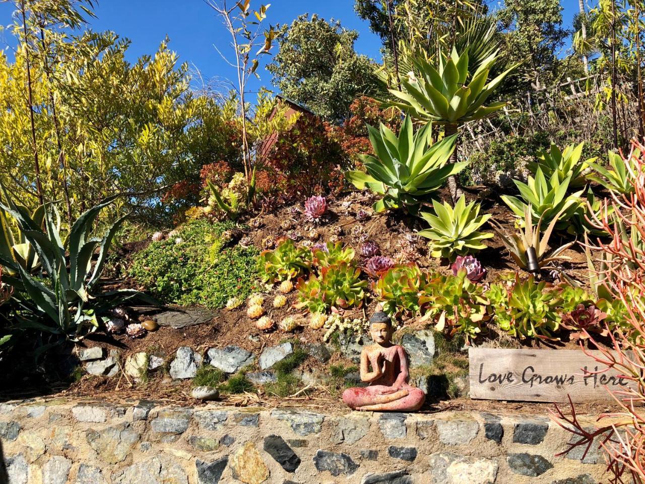 Inn At Moonlight Beach Encinitas Exterior photo